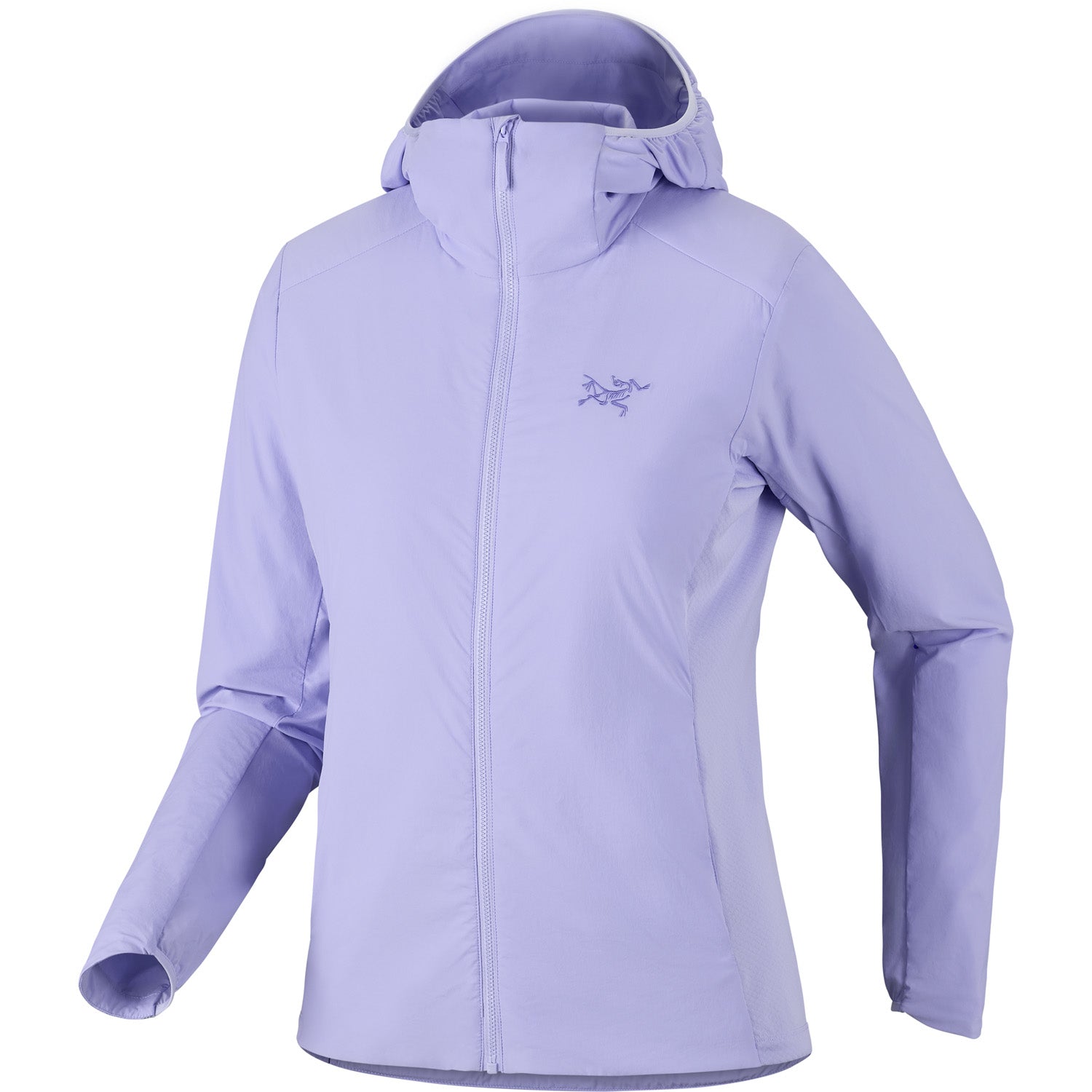Arc'teryx Atom SL Hoodie - Women's – evo