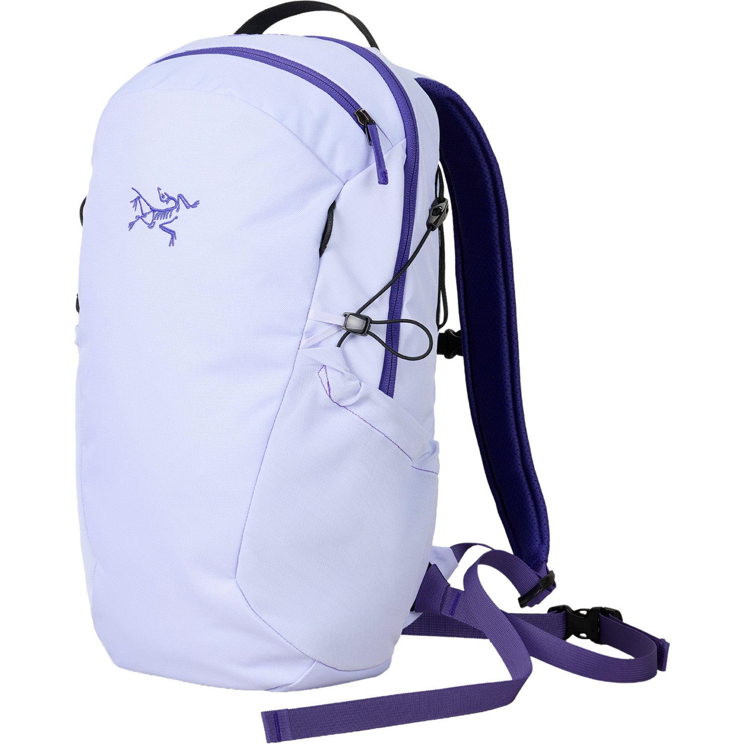 Arc'teryx Mantis 16L Backpack – evo