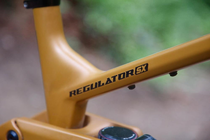 2026 Transition Regulator SX Review