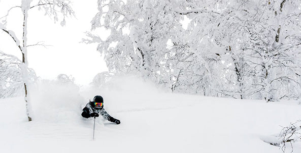 evoTrip Japow Dreamin'
