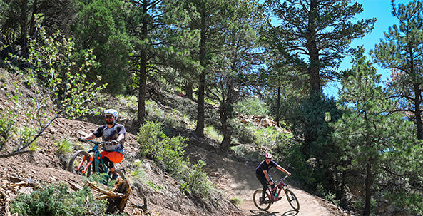 The Best Mountain Bike Trails in Colorado Springs