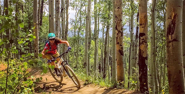 The Ultimate Guide to Colorado Mountain Bike Trails
