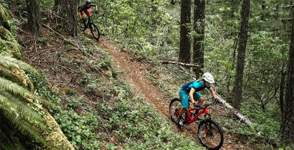 Best Mountain Bike Trails in Eugene & Corvallis