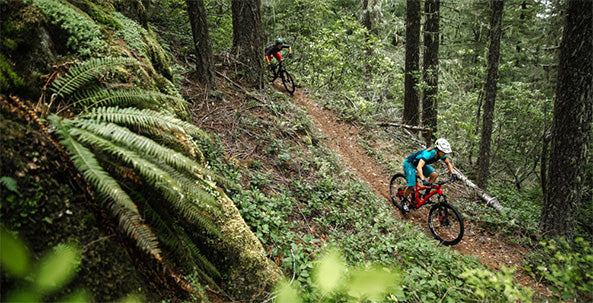 Oakridge Mountain Bike Trail Guide