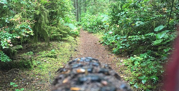 Banner Forest Mountain Bike Trail Guide