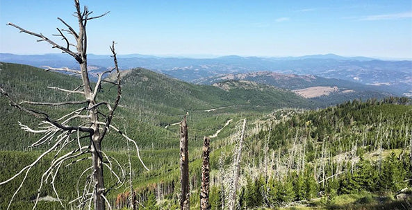 Kettle Crest Mountain Bike Trail Guide