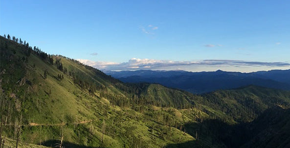 The Best Mountain Bike Trails in Leavenworth