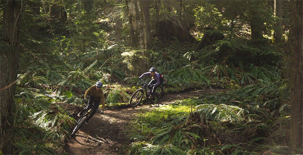 Washington State Mountain Biking Trail Guide