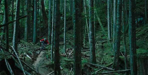 Tiger Mountain Mountain Bike Trail Guide