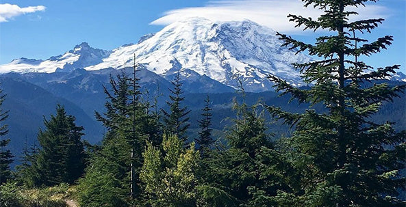 410 Trails - Mount Rainier Mountain Bike Trail Guide