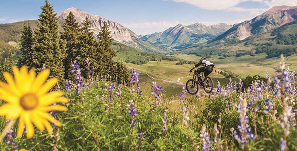 Crested Butte Mountain Bike Trail Guide