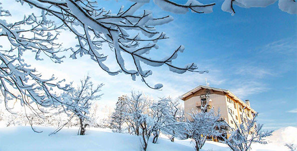 Myoko Japan Ski & Snowboard Travel Guide