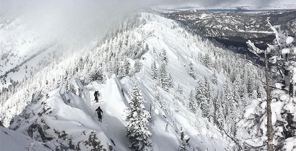 Bridger Bowl Skiing & Snowboarding Resort Guide