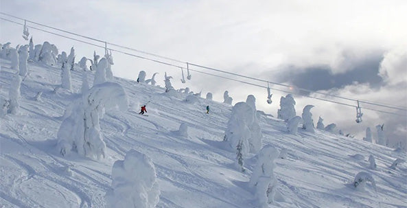 Whitefish Skiing & Snowboarding Resort Guide