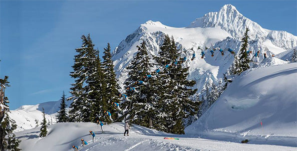 Mount Baker Ski Area Guide