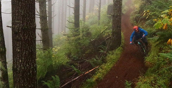 Capitol State Forest Mountain Bike Trail Guide
