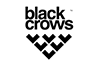 Black Crows
