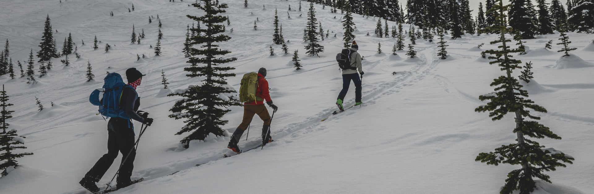 Whistler AST 1 Course
