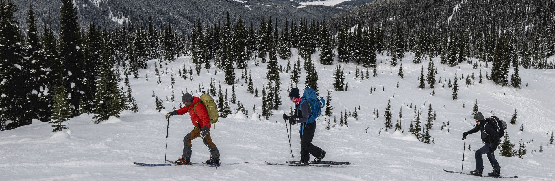 Whistler AST 1+ Course