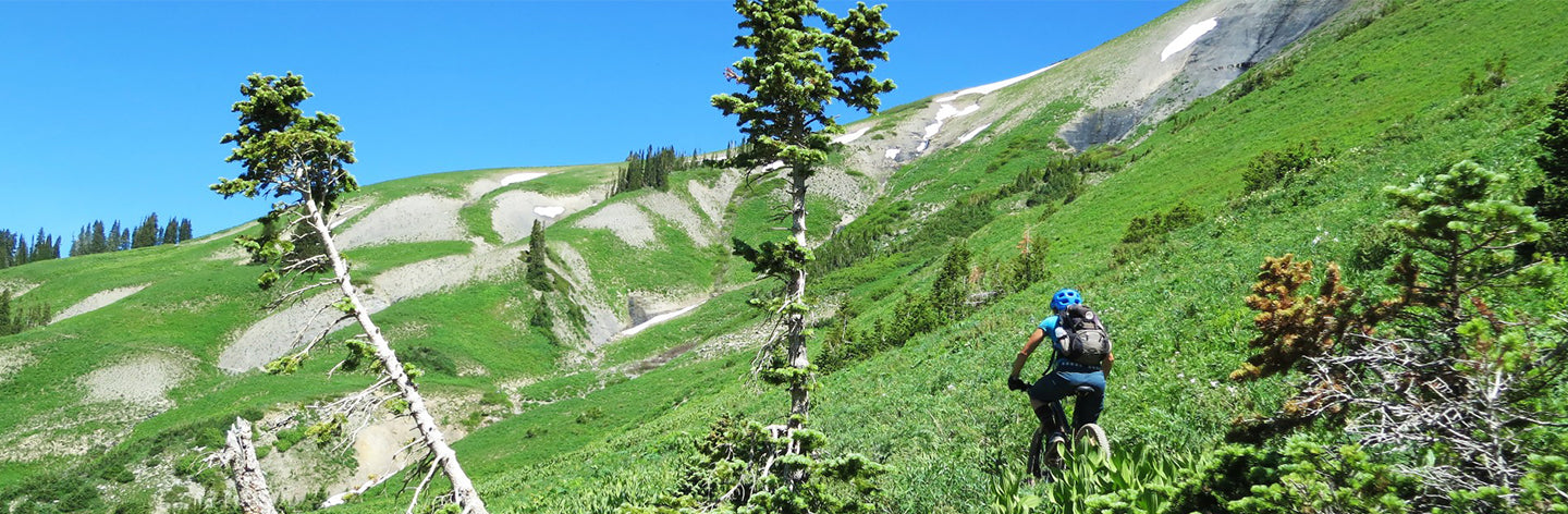 Best of Crested Butte Inn MTB