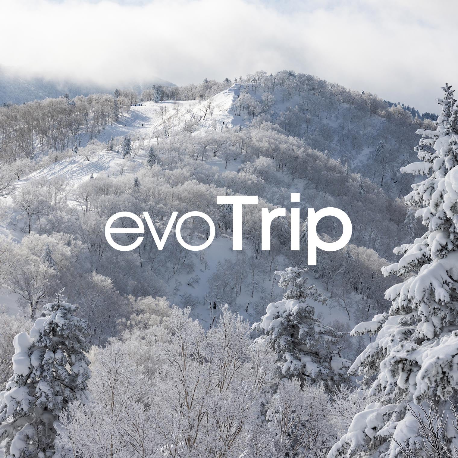 evoTrip Logo Image
