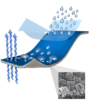 Pertex Equilibrium