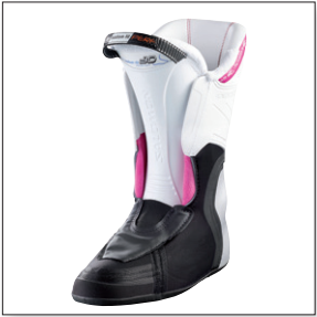 Women's Liner