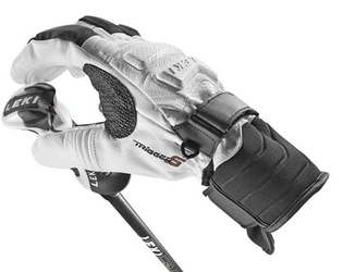 Integrated Trigger S Loop