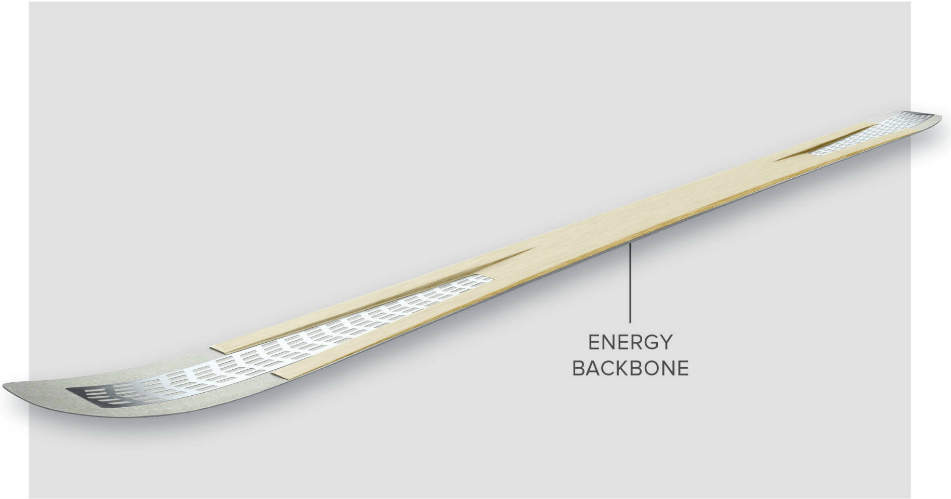Energy Backbone