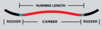 Fusion Camber