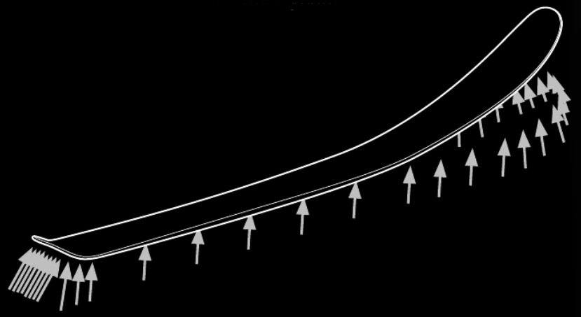 Infinite Flex Life
