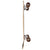 Arbor Sizzler Venice Cruiser Skateboard Complete