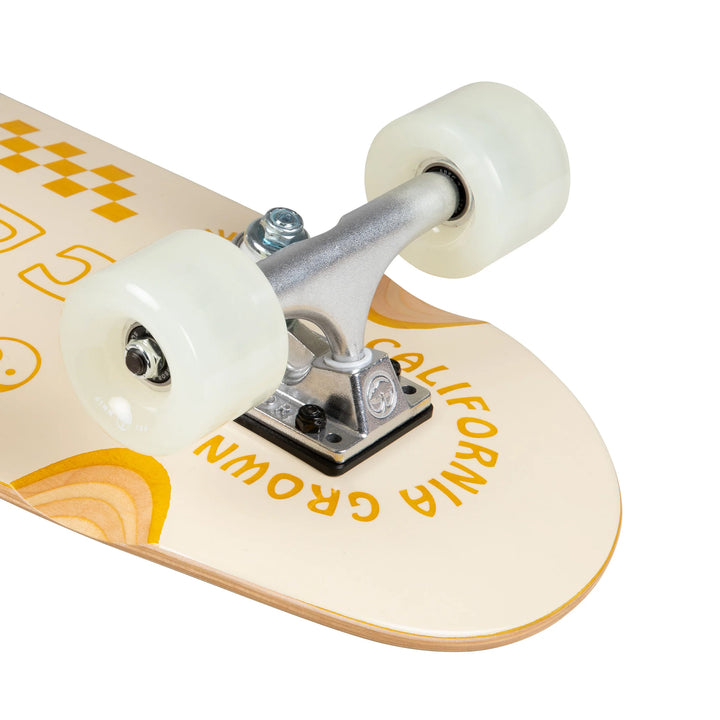 Arbor Pilsner Venice Cruiser Skateboard Complete