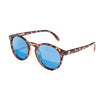 Tortoise/Aqua Polarized