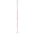 Black Crows Anima Skis 2024