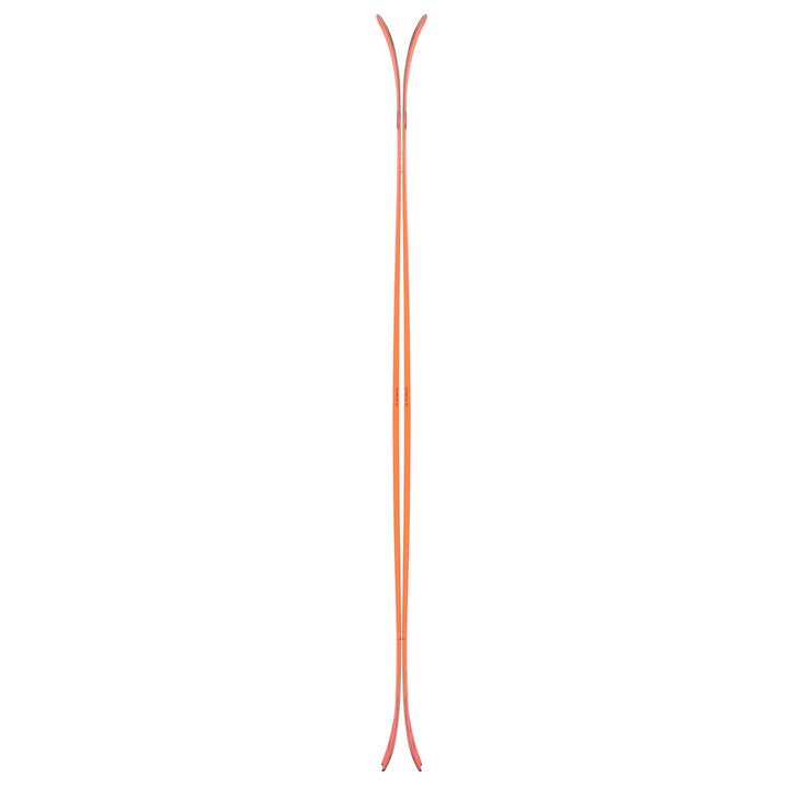 Black Crows Draco Freebird Skis 2026