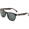 Tortoise/Forest Polarized