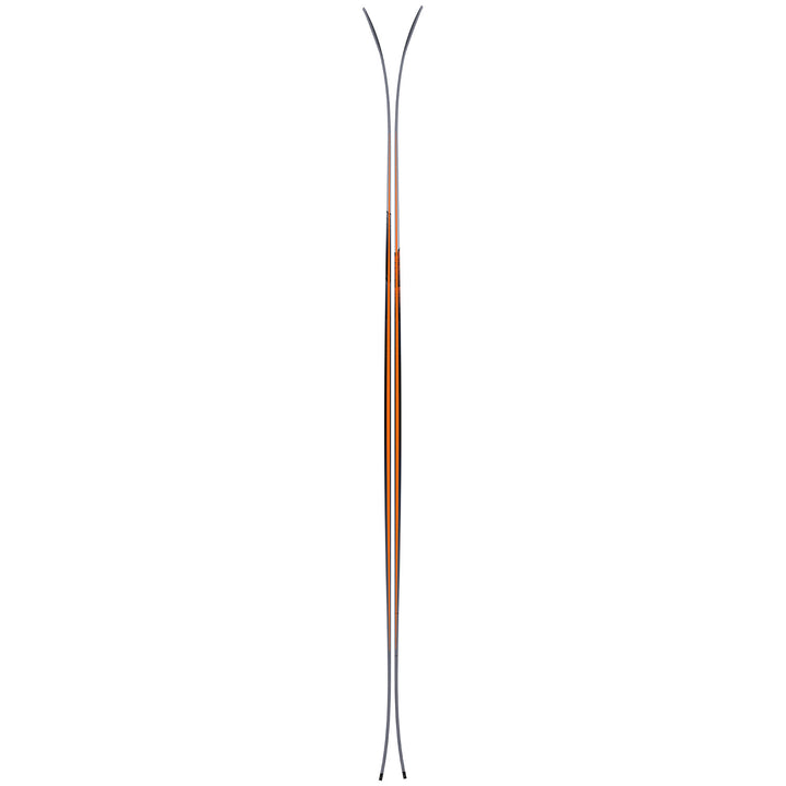 Atomic Backland 100 Skis 2024