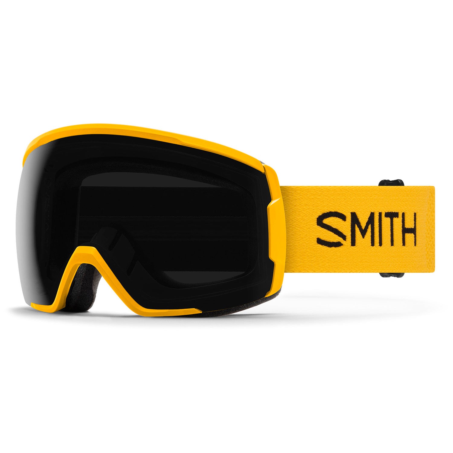 Smith Proxy Goggles – evo