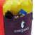 Cotopaxi Luzon 24L Backpack Del DIa