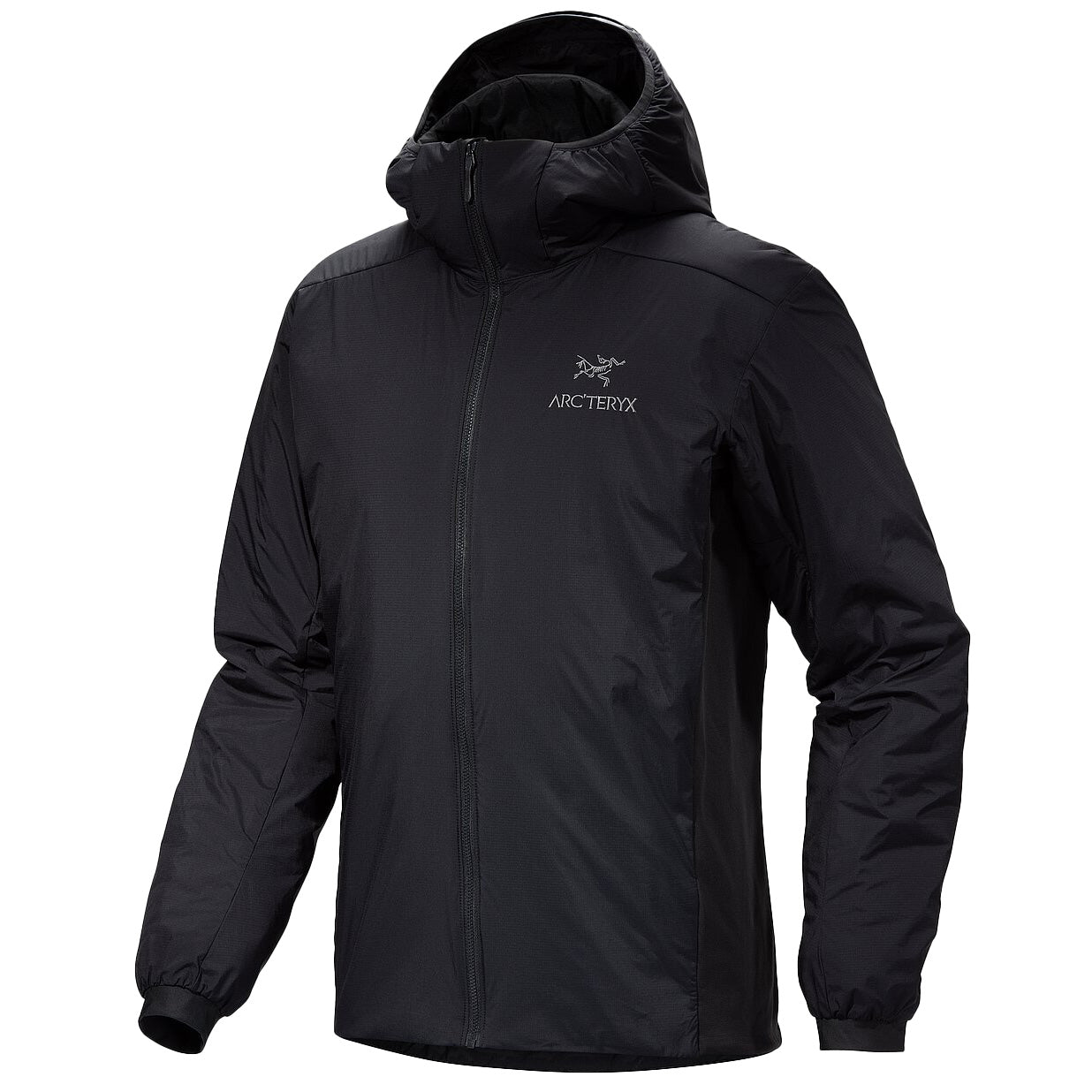 Arc'teryx Atom Heavyweight Hoodie - Men's – evo