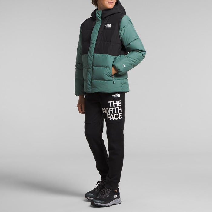 The North Face North Down Fleece-Lined Parka - Boys' Dark Sage
