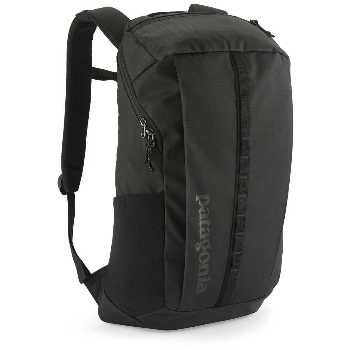 Patagonia Black Hole 25L Pack Black