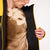 Oakley TC Reduct Earth Shell Jacket - Men's Amber Yellow/Hunter Green