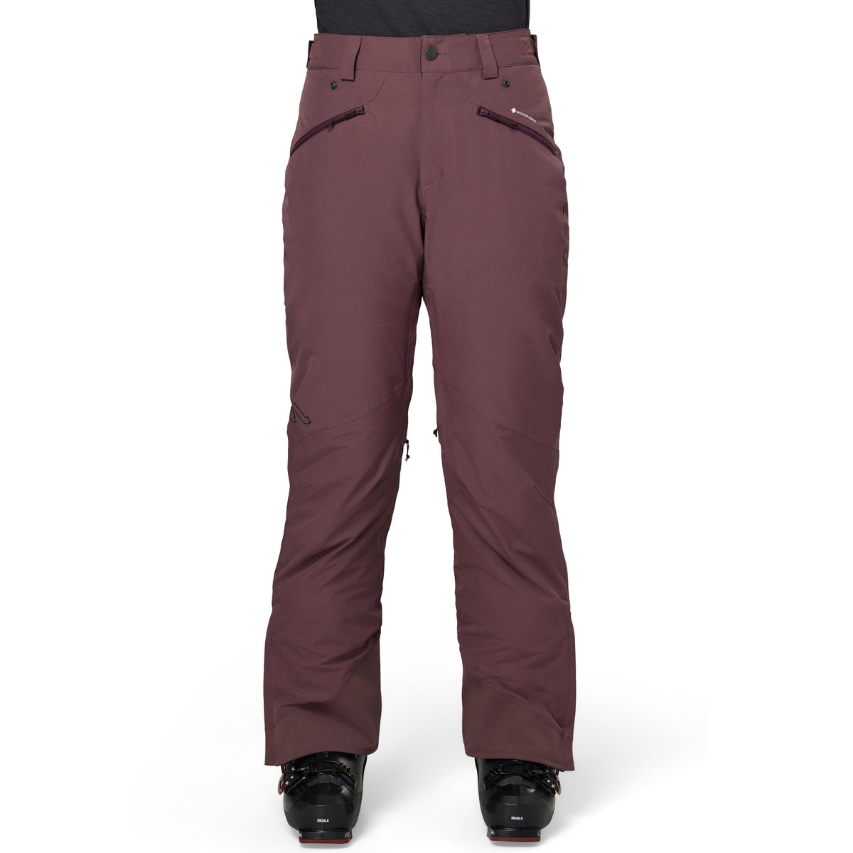 Flylow Daisy Pants - Women's Galaxy