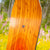Arbor Shiloh Rocker Snowboard 2024