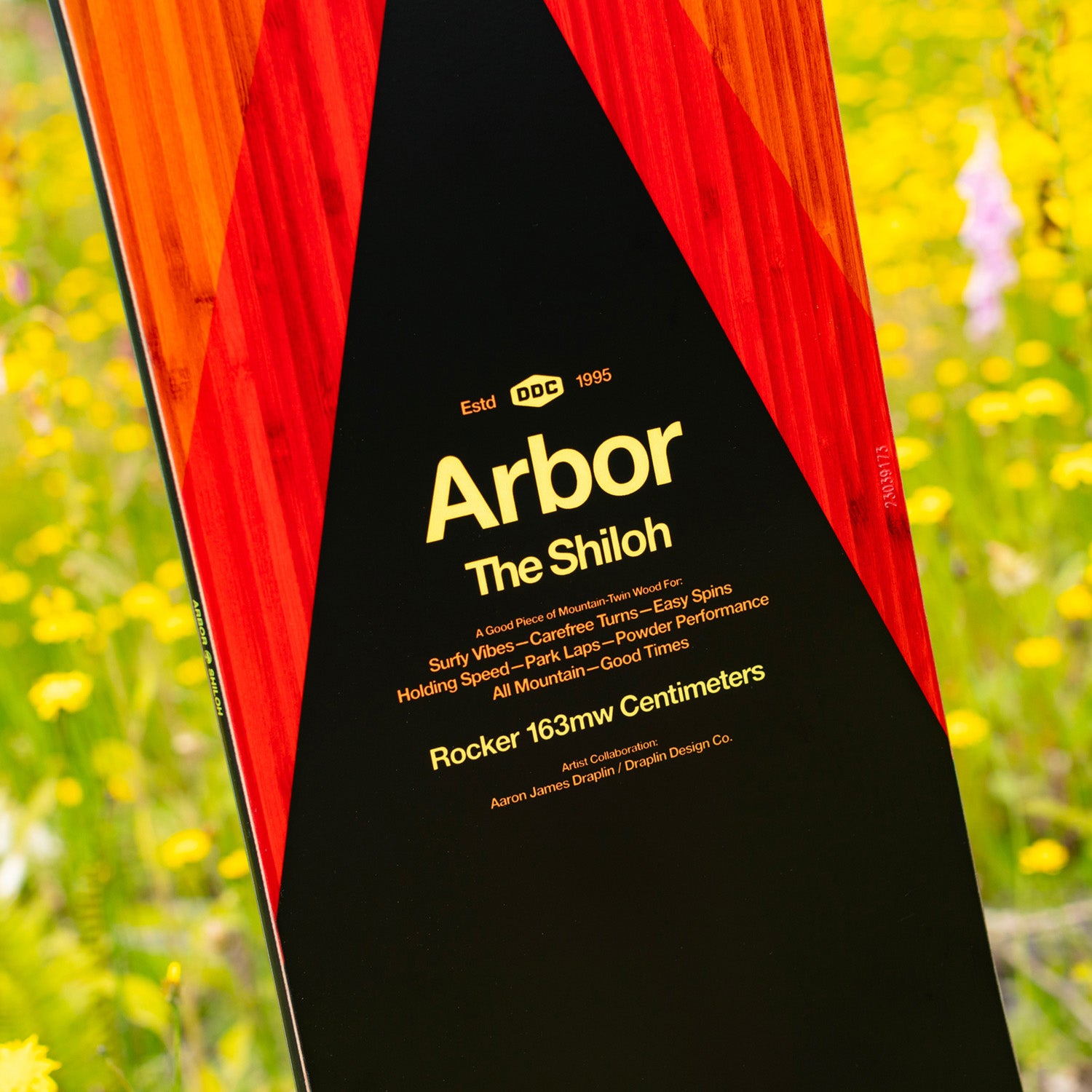 Arbor Shiloh Rocker Snowboard 2024 – evo