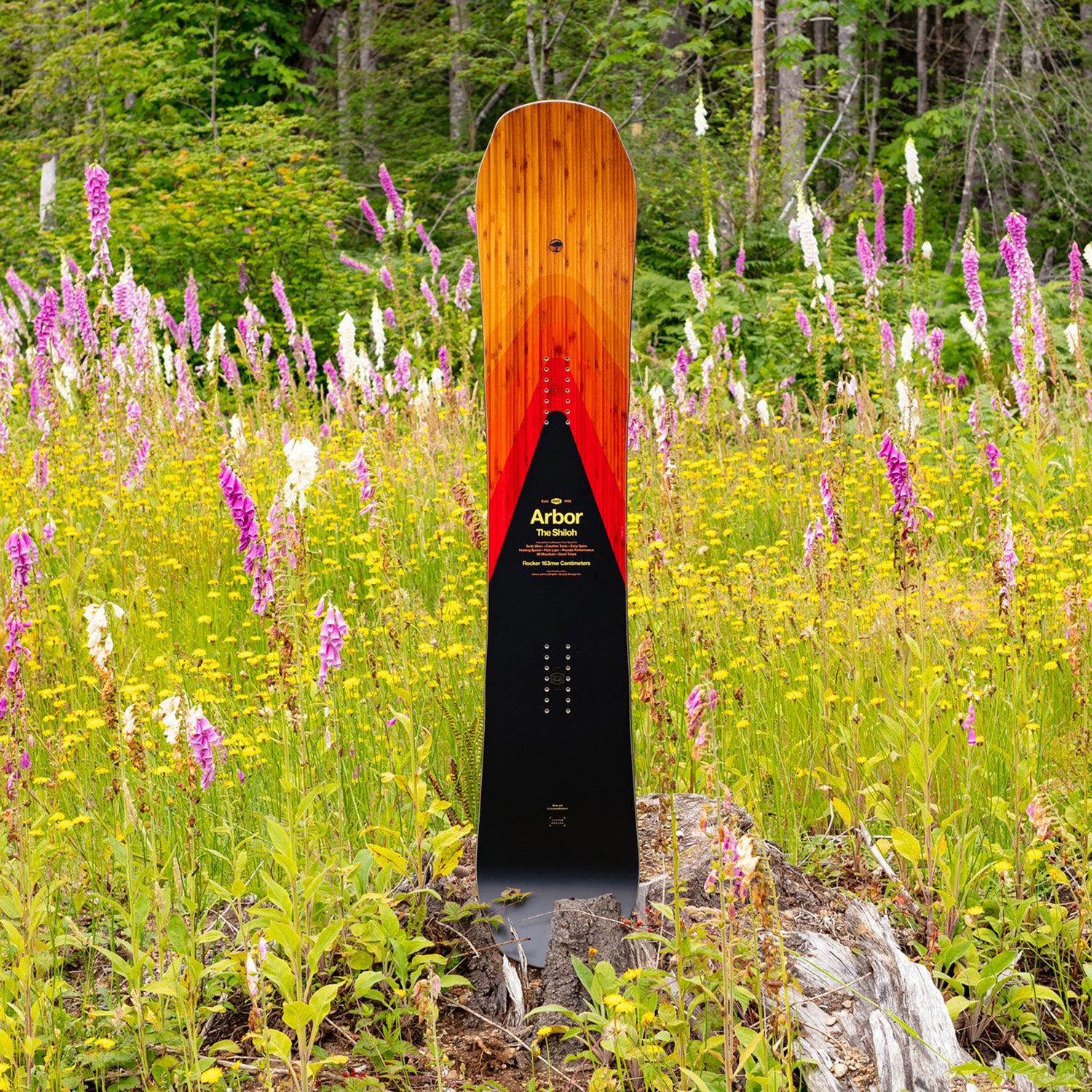 Arbor Shiloh Rocker Snowboard 2024 – evo