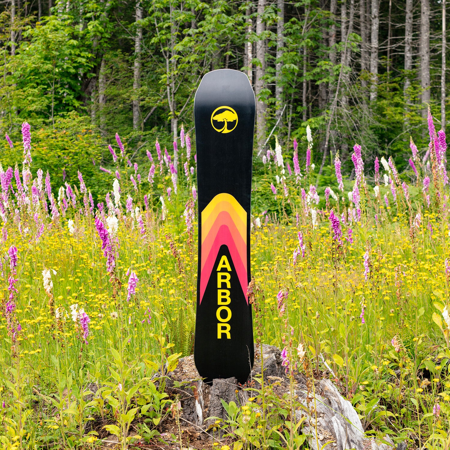 Arbor Shiloh Rocker Snowboard 2024 – evo