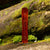 Arbor A-Frame Camber Snowboard 2024